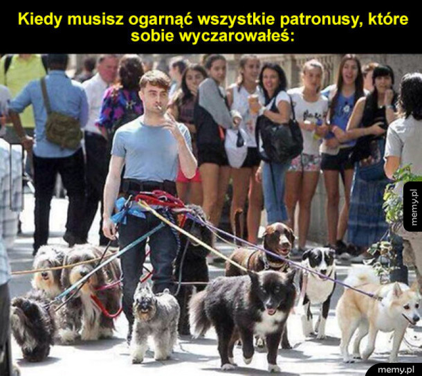 Patronusy