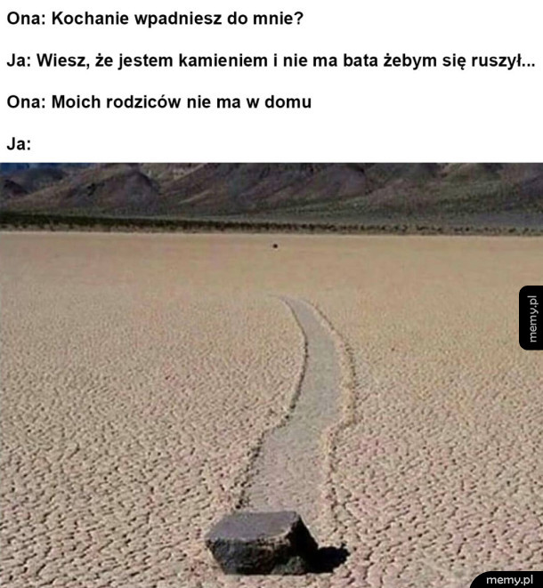 Lecę pędzę