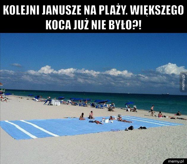 Janusze na plaży