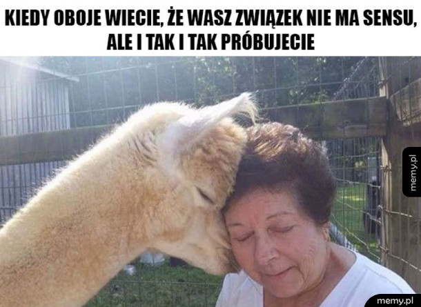 Związek