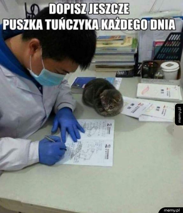 Weterynarz
