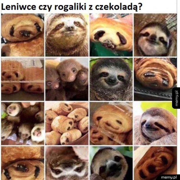 Croissanty