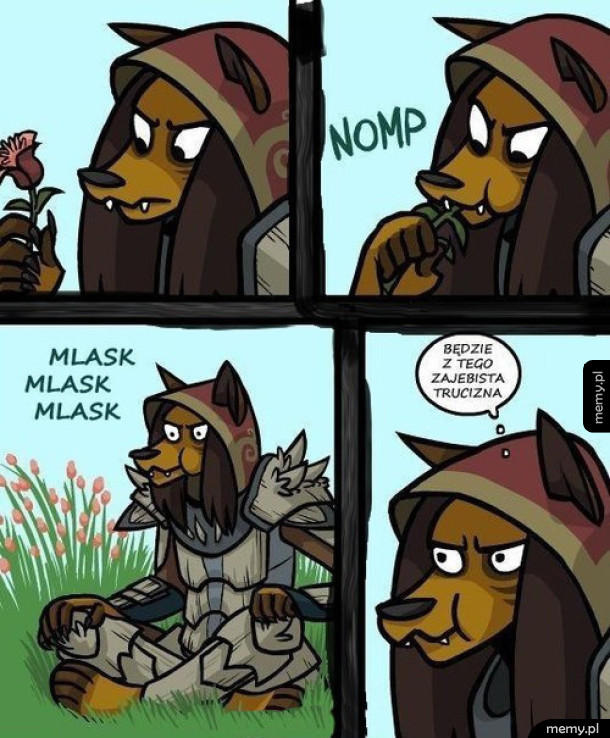 Logika Skyrim