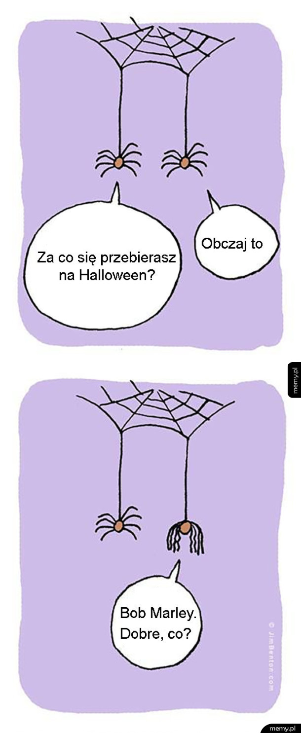 Pająki na halloween