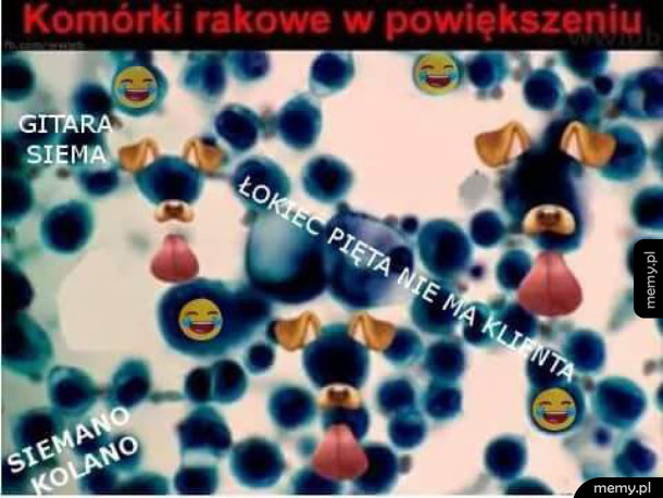 Komórki rakowe