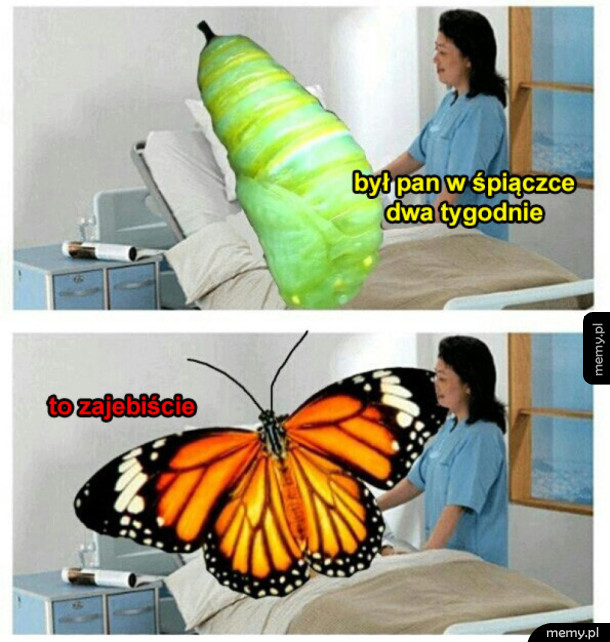 Śpiączka