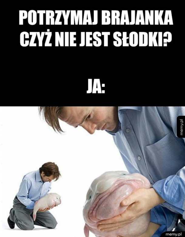 Brajanek
