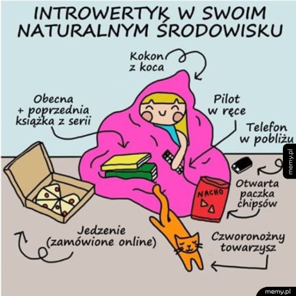 Życie introwertyka