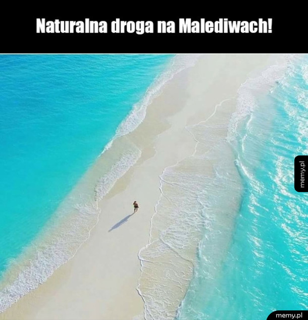 Natura czyni cuda :)