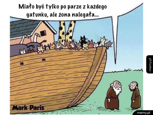 Stąd tyle kotów
