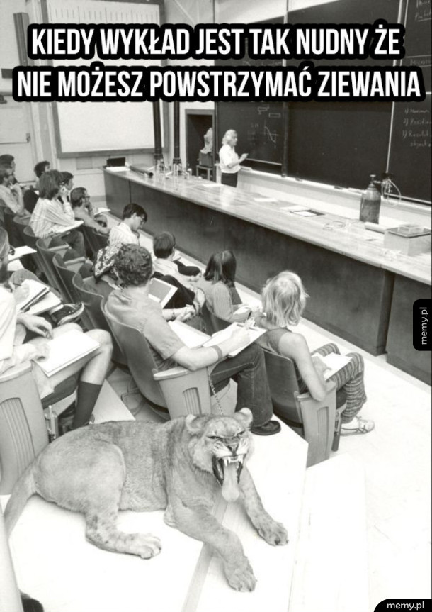 Zieeew