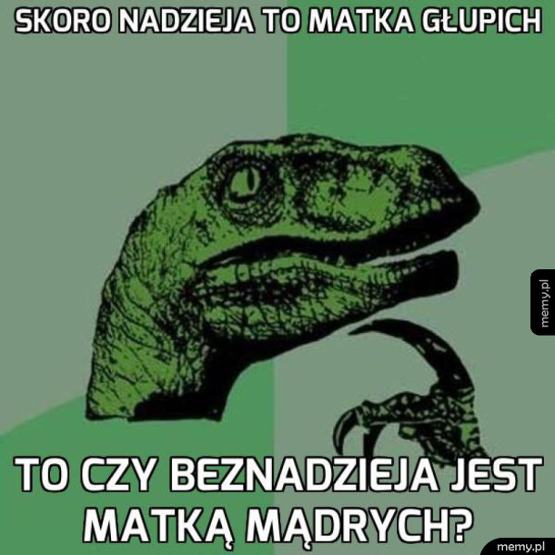 Coś w tym jest