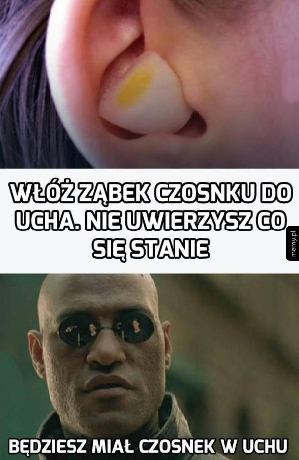 Włóż czosnek