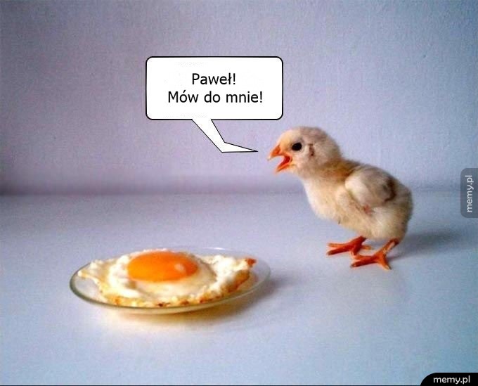 Paweł! Mów do mnie!