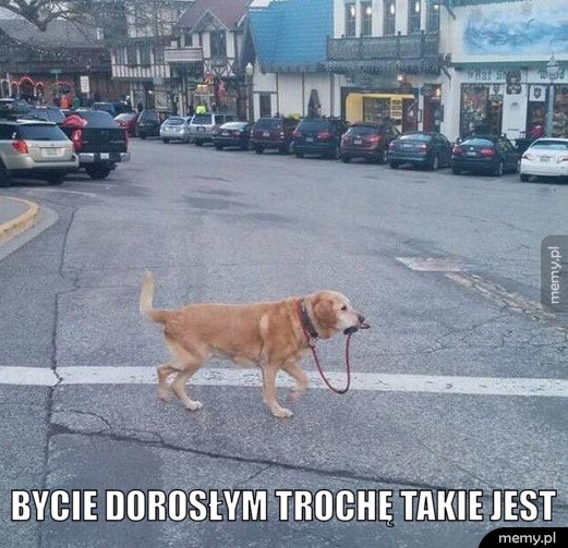  Bycie dorosłym